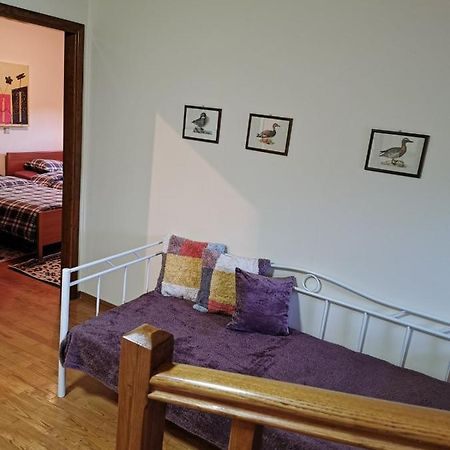 Villa Ευορέων Pertouli Extérieur photo