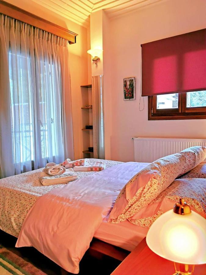 Villa Ευορέων Pertouli Extérieur photo